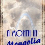 PI-Mongolia-Chapter-2 (A Month in Mongolia – Chapter 1: The Gobi)