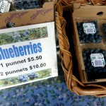 BlueberriesPunnets678x509 (Making a Dent in Oz)