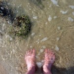 FeetInSituOceanOz678x509 (Making a Dent in Oz)