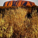 Uluru-Is-it-worth-it-3 (Uluru: Is It Worth It?)