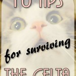 PI-10-Tips-for-Surviving-the-CELTA (10 Tips for Surviving the CELTA)