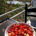 Strawberries500x666 (I Want AMERICAN Food, Dammit!)