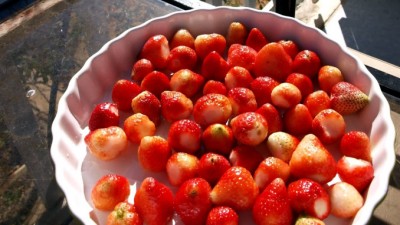 StrawberriesSlider678x383 (I Want AMERICAN Food, Dammit!)