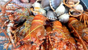 Day1Lobster670x383 (A Dash to Nha Trang: As-It-Happens)