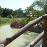 Day3Bridge800x600 (A Dash to Nha Trang: Day 3 – Bliss and Ack!)