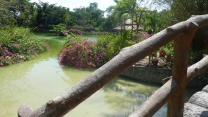 Day3BridgeGallery678x383 (A Dash to Nha Trang: Day 3 – Bliss and Ack!)