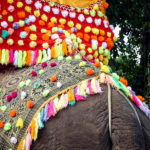 Laos-Elephant-Festival-14 (The Laos Elephant Festival)