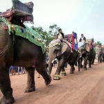 Laos-Elephant-Festival-16 (The Laos Elephant Festival)
