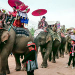 Laos-Elephant-Festival-17 (The Laos Elephant Festival)