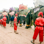 Laos-Elephant-Festival-3 (The Laos Elephant Festival)