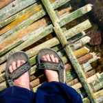 Laos-Elephant-Festival-9 (The Laos Elephant Festival)