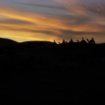 A passing camel caravan (The Laos Elephant Festival)