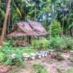 tropical-hut-with-old-toilets (The Laos Elephant Festival)