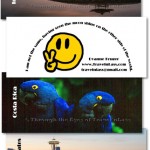 4MOOSamples428x667 (Did I Mention That I love, Love, LOVE my Moo Cards?)