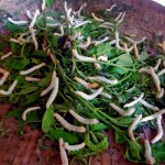 P1080797-opt (More Laos: Ock-Pop-Tok Natural Dye Workshop)