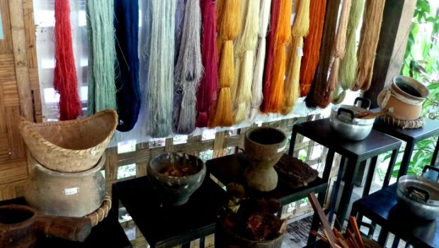 Skeins of silk in amazingly vivid colors - simply from nature's bounty