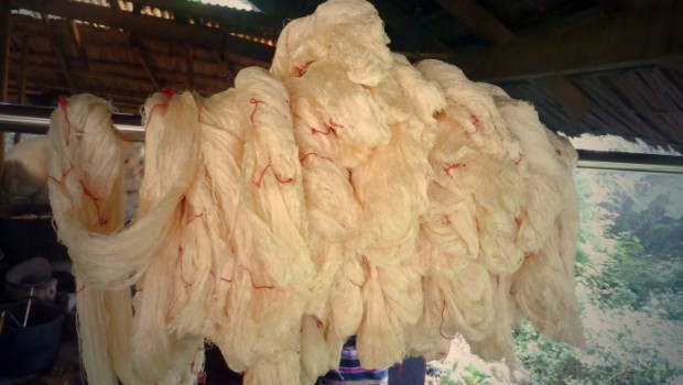 Skeins of raw silk, ready for dyeing