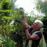 P1080845-opt (More Laos: Ock-Pop-Tok Natural Dye Workshop)