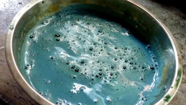 Indigo dye bath