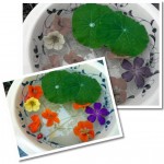 03BowlNastursiums678x615 (Photo Essay:  Try to Live a Colorful Life)
