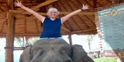 AboutDyElephantFullWidthNEW1020x510 (About)