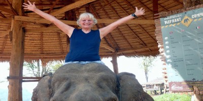 AboutDyElephantFullWidthNEWNEWSHARPER1020x510 (About)