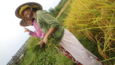 OLYMPUS DIGITAL CAMERA (Re-learning Photography in Hoi Anh)