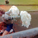 cheerleading350x262-b (43 Random Things You Might Not Know About Me)