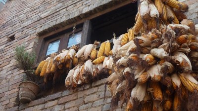 BhaktapurCornWindow678x383 (First Impressions:  Nepal)