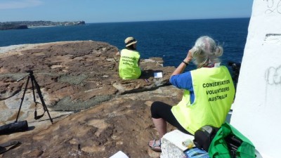 OzWhaleCountSlider (My 2 Year “Great Leap” Anniversary)