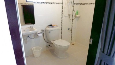 BathroomSlider (New Country, New Digs:  a.k.a. “I Always Wanted a Summer Home in Asia”)