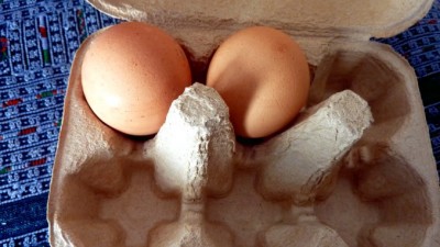 CartonEggsSlider (Travel Tip: Nomad Boiled Eggs)