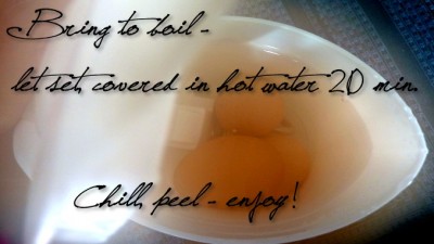 SteamyEggsTextSlider (Travel Tip: Nomad Boiled Eggs)