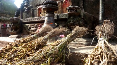 AlterOfferingsSlider (Catching up on Nepal: Bhaktapur)
