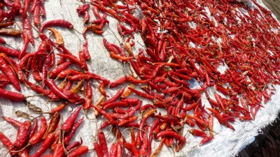 ChilisSlider (Catching up on Nepal: Bhaktapur)