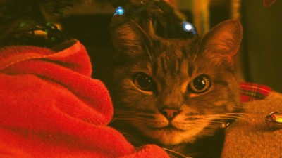 ChristmasAshenSlider (Expat Desperately Seeking the Christmas Spirit)