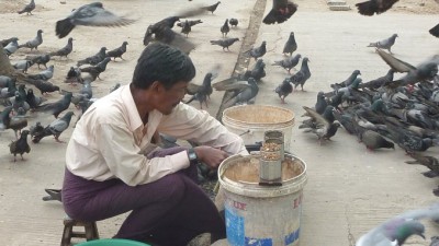 ManWithPigeonsSlider (A Sunday Stroll in Yangon…)