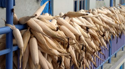 (Catching up on Nepal: Sleeping With Monks)