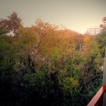 LastThaiSunset687x515 (Toodle-oo Thailand!)