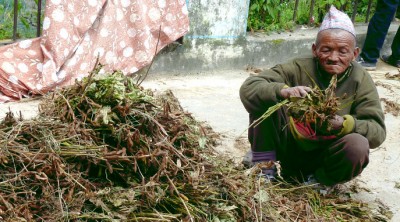 (Catching up on Nepal: Sleeping With Monks)