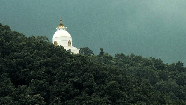 The World Peace Pagoda