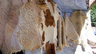 GoatskinsSlider (Catching Up Series: Morocco 4 of 8)