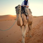SaharaDyCamel678x903 (Catching Up Series: Morocco 5 of 8)