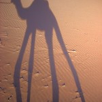 SarahaDyCamelShadow350x466 (Catching Up Series: Morocco 5 of 8)