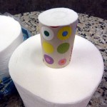 TPRoll350x350 (Only in Ecuador: Maximize Your T.P.)