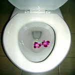 Toilet350x350 (Only in Ecuador: Maximize Your T.P.)