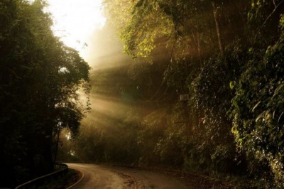 Entry-FourLetterNerdUpAroundTheBend678x452 (Foto Flip Friday: Follow Your Dreams (The WINNERS!!!))