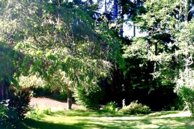 Entry-Gail-Tara-optimized678x452 (Foto Flip Friday: Follow Your Dreams (The WINNERS!!!))