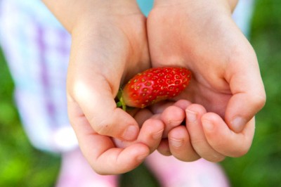 Laura-NoCureForCuriosity-Strawberry678x452 (Foto Flip Friday: Follow Your Dreams (The WINNERS!!!))