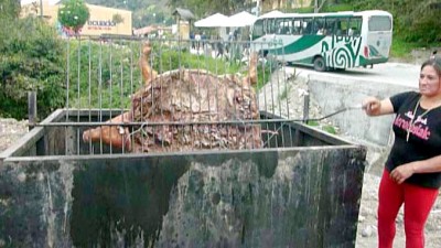RotatingPigSlider (Inti Raymi – Festival of the Sun)